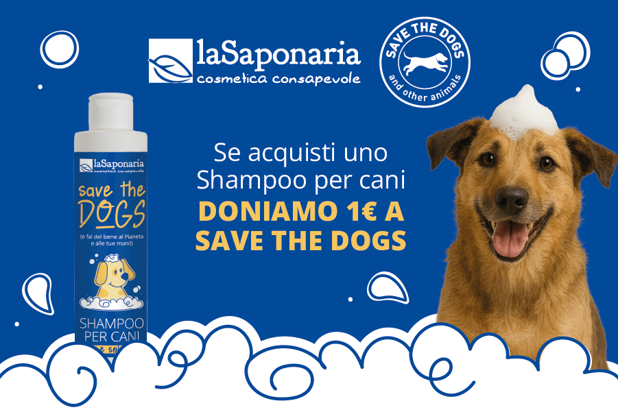 Shampoo-per-cani-900x600-1