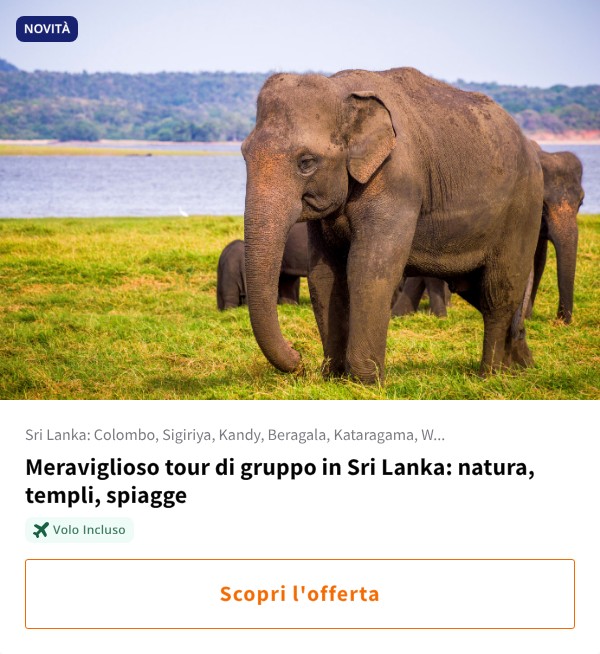 Meraviglioso tour di gruppo in Sri Lanka: natura, templi, spiagge