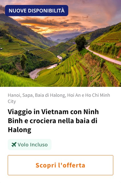 Viaggio in Vietnam con Ninh Binh e crociera nella baia di Halong