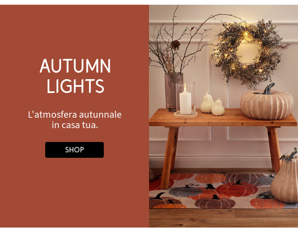 Autumn Lights >