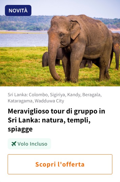 Meraviglioso tour di gruppo in Sri Lanka: natura, templi, spiagge