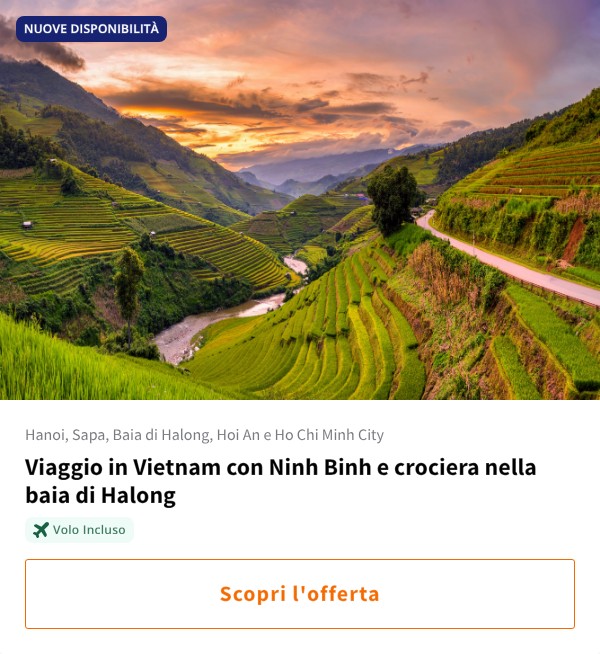 Viaggio in Vietnam con Ninh Binh e crociera nella baia di Halong
