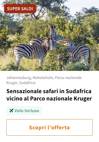 Sensazionale safari in Sudafrica vicino al Parco nazionale Kruger