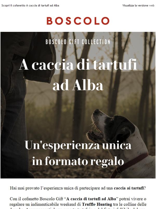 Hai mai provato un’esperienza a caccia di tartufi?