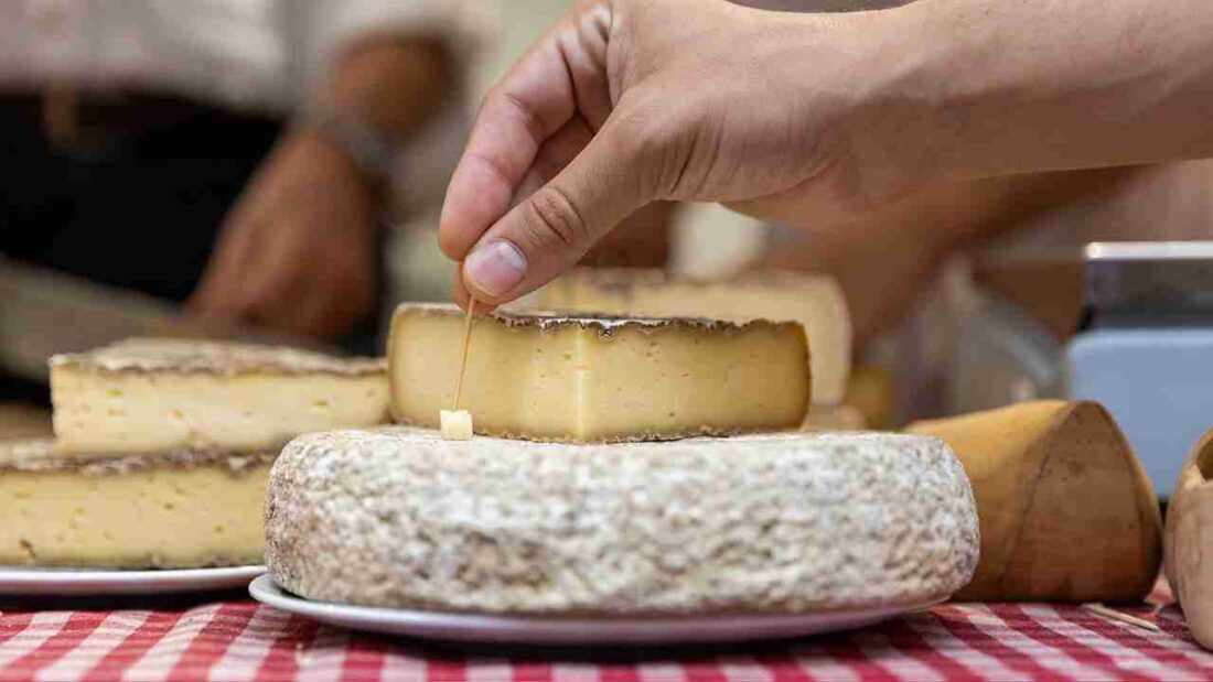 Cheese 2025 è...non solo formaggi!