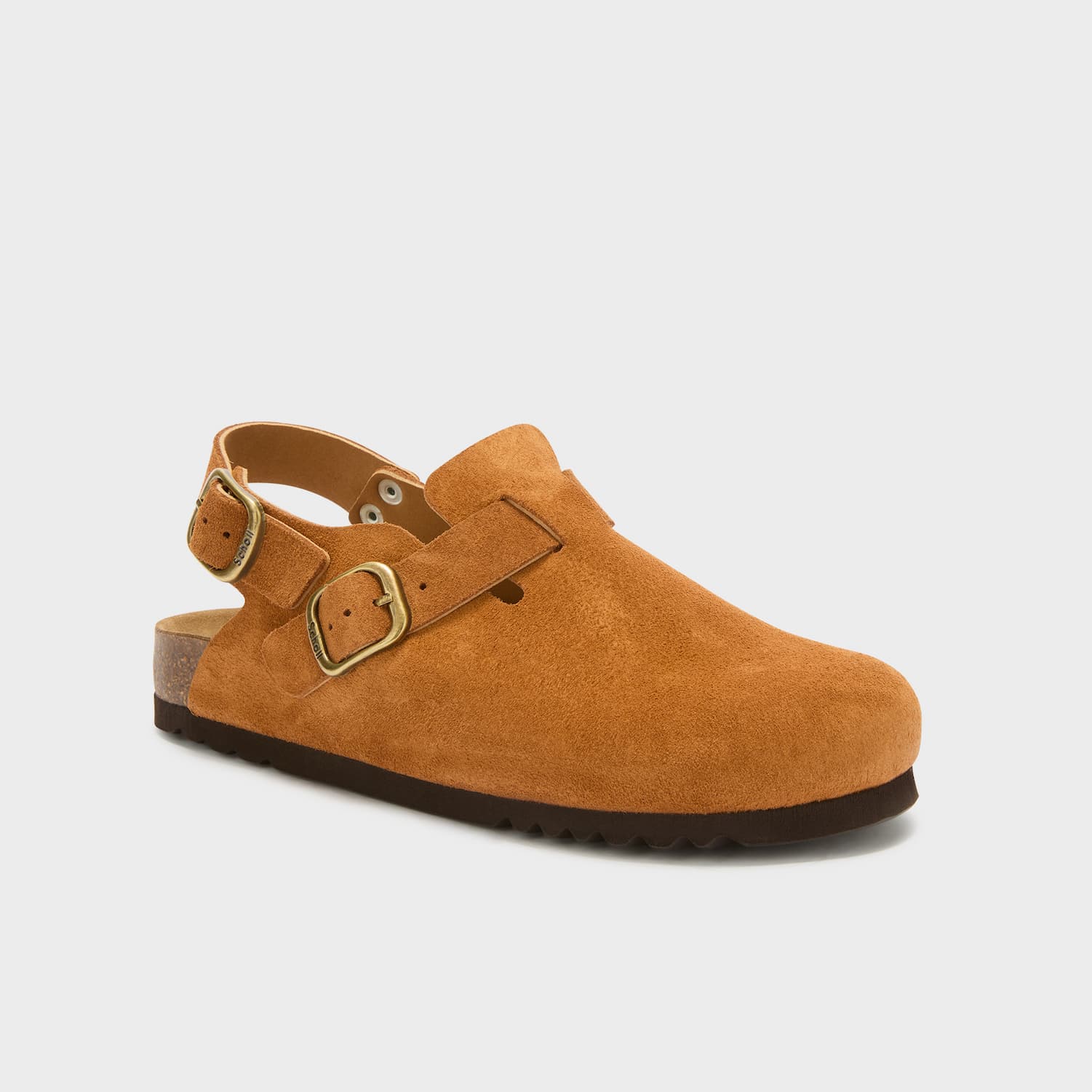 SCHOLL PESCURA