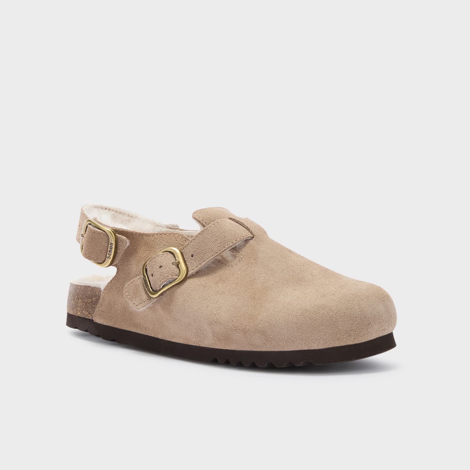 SCHOLL PESCURA