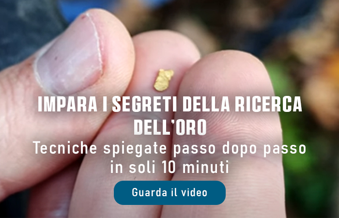 Ricerca Oro