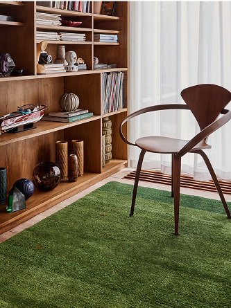 Green rug in a living room