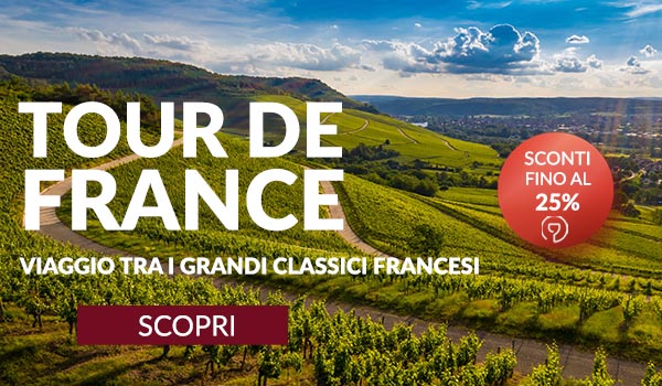 Selezione di vini francesi