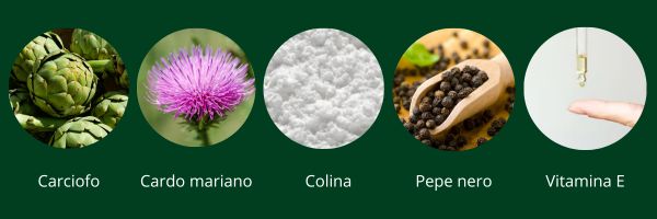 Ingredienti