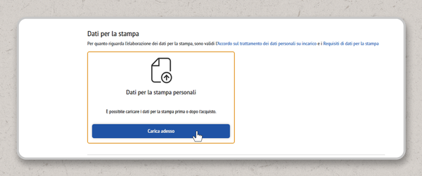Testo “Dati di stampa” in alto, sotto il quale è presente un simbolo con un documento e una freccia rivolta verso l'alto. Testo “Dati di stampa personali” e pulsante “Carica ora”.
