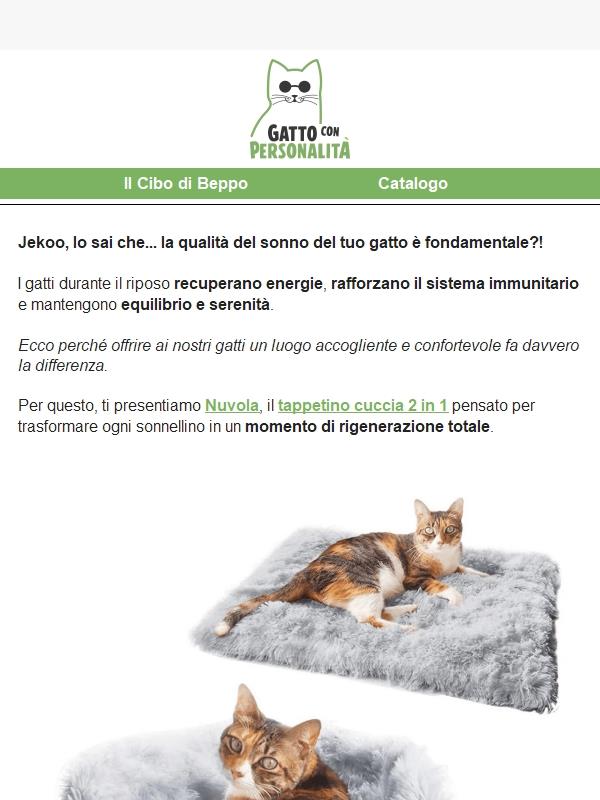 La qualità del sonno del tuo micio è importante