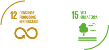 SDGs 12 - 15
