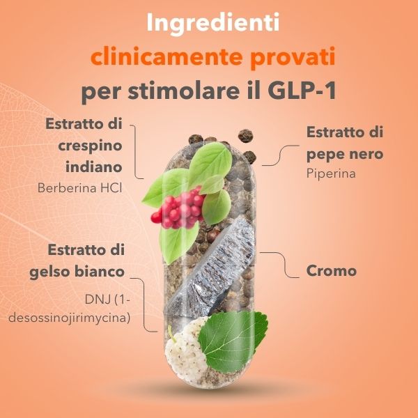 MetaboLux GLP-1 Ingredienti