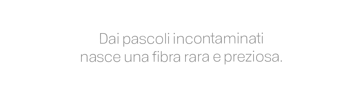 Acquista ora
