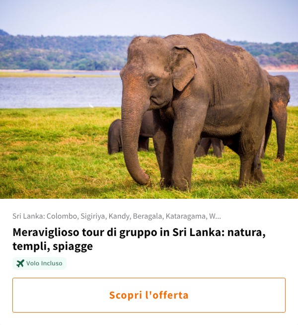 Meraviglioso tour di gruppo in Sri Lanka: natura, templi, spiagge