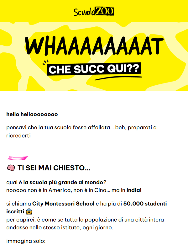 ScuolaZoo Survival Kit #20