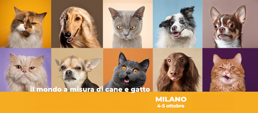 Quattrozampeinfiera