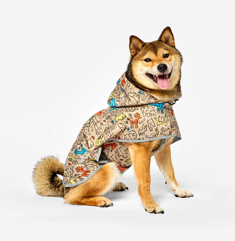  Fai risplendere il tuo cane
