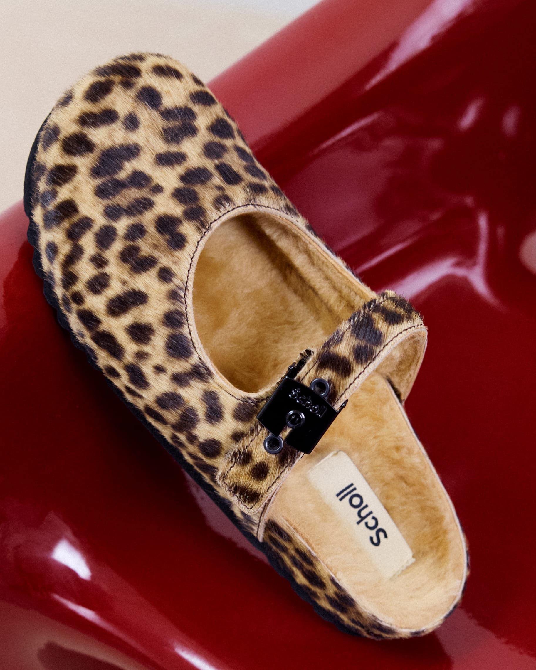 SCHOLL N21