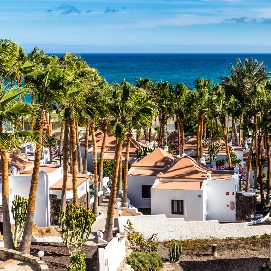 White houses with terracotta roofs surrounded by many palm trees, with the blue sea and sky in the background.