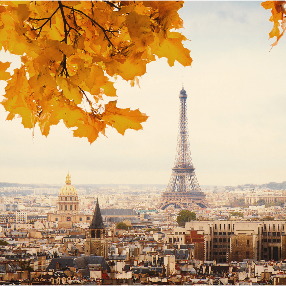 View over a city with the Eiffel Tower in the background, framed by autumn yellow leaves in the foreground.