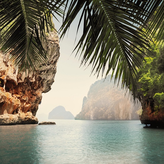 View through palm leaves onto a sea bay, surrounded by tall cliffs and lush vegetation.