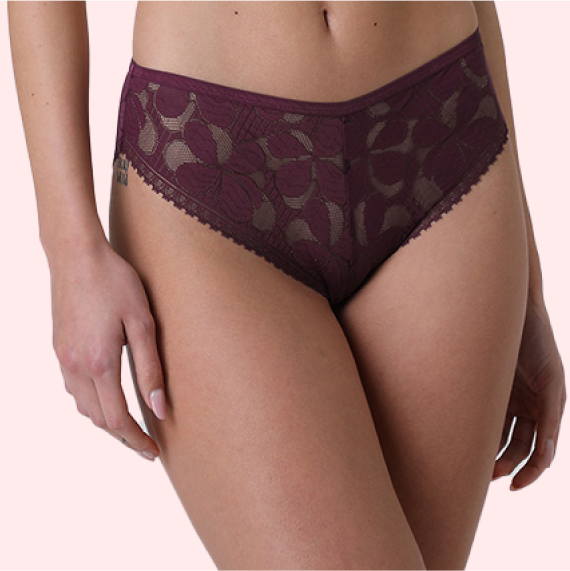 dettaglio slip in pizzo vinaccia