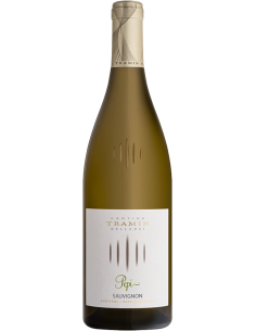 Image of Sauvignon Blanc DOC "Pepi" 2023 <br/>Cantina Tramin