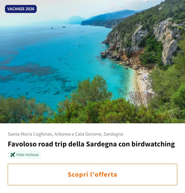 Favoloso road trip della Sardegna con birdwatching