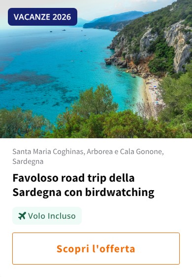 Favoloso road trip della Sardegna con birdwatching