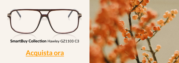 SmartBuy Collection Hawley GZ1103 C3