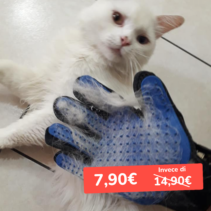 guanto magico rimuovi pelo per gatti 