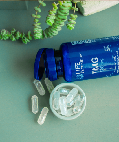 alt="Flacone Life Extension TMG da 500 mg disteso su un lato con capsule trasparenti versate in una piccola ciotola, accanto a piante grasse verdi.»