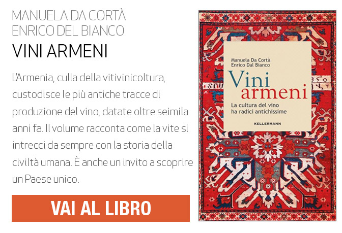 VINI ARMENI