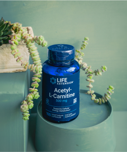 alt="Flacone di acetil-L-carnitina Life Extension da 500 mg posto su un piedistallo verde circondato da piante grasse.»
