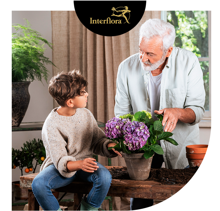 Festa de Nonni Giovedi 2 ottobre