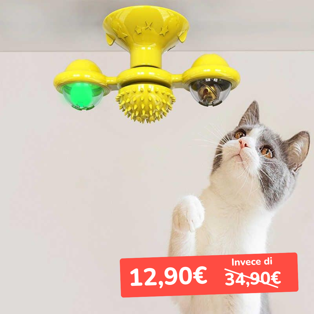 giochi per gatti 