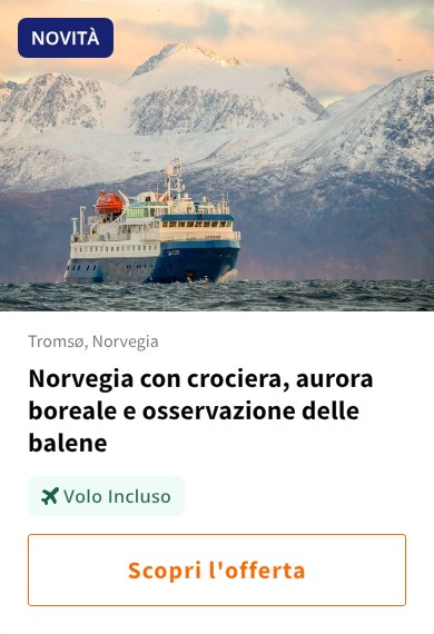 Norvegia con crociera, aurora boreale e osservazione delle balene
