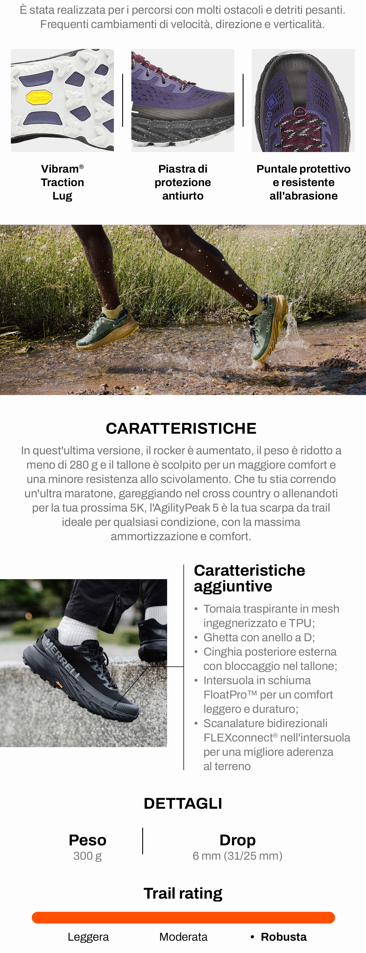 Caratteristiche