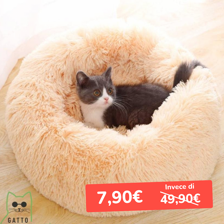cuscino per gatti 