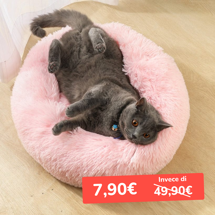 cuscino per gatti 