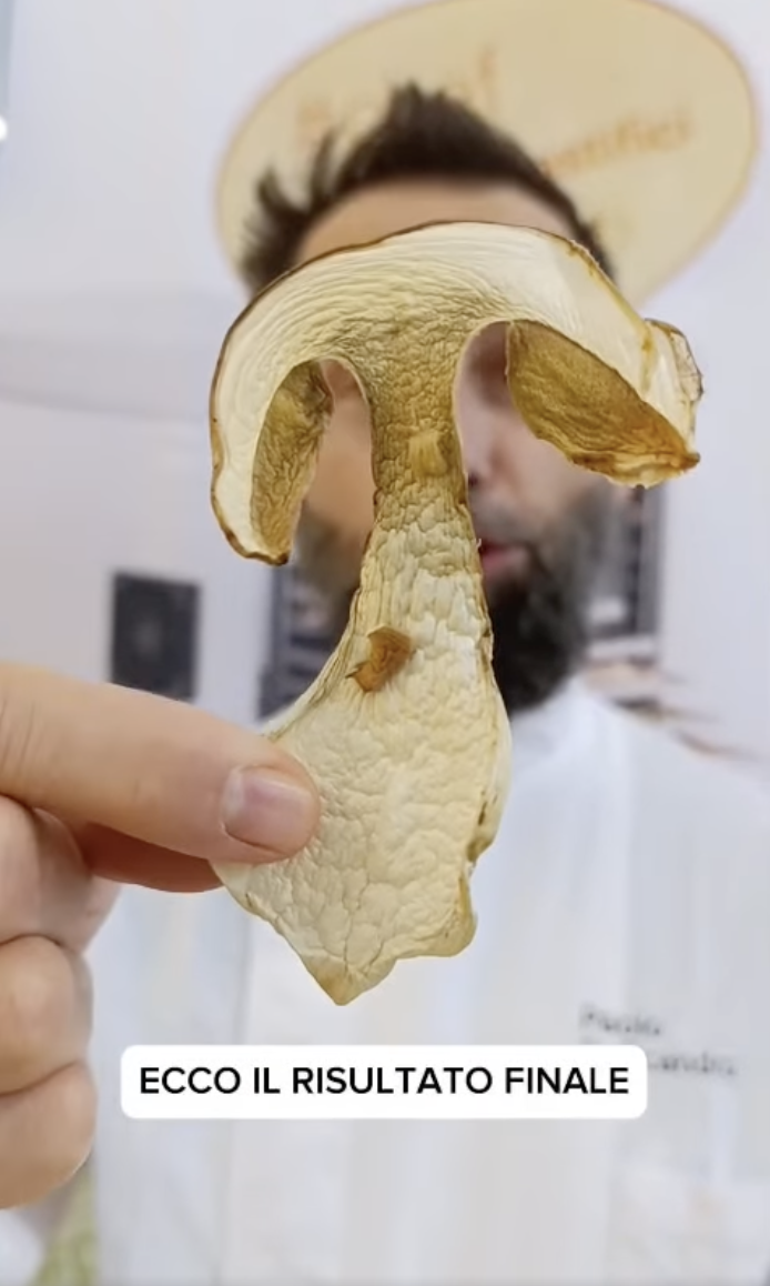 funghi