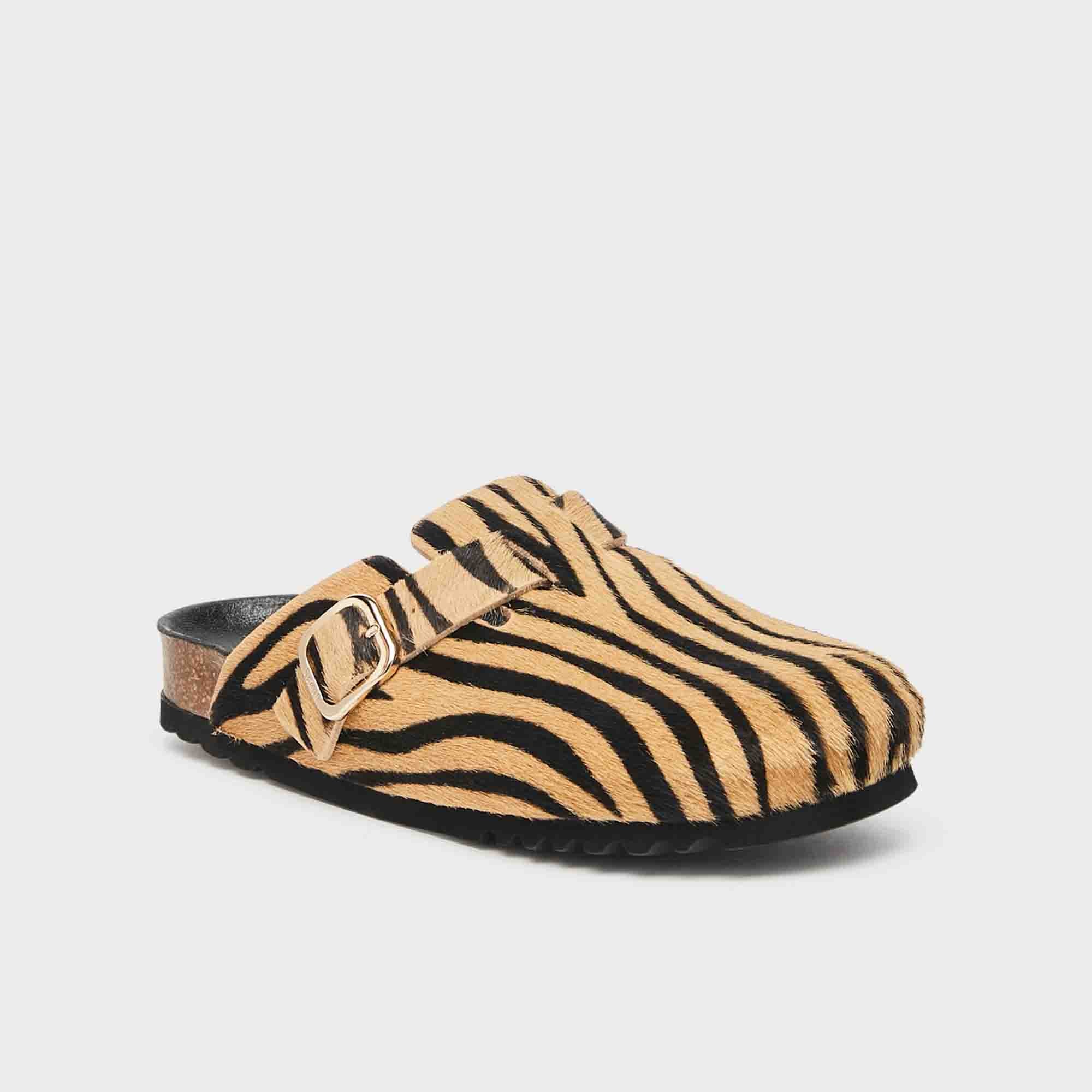 SCHOLL PESCURA