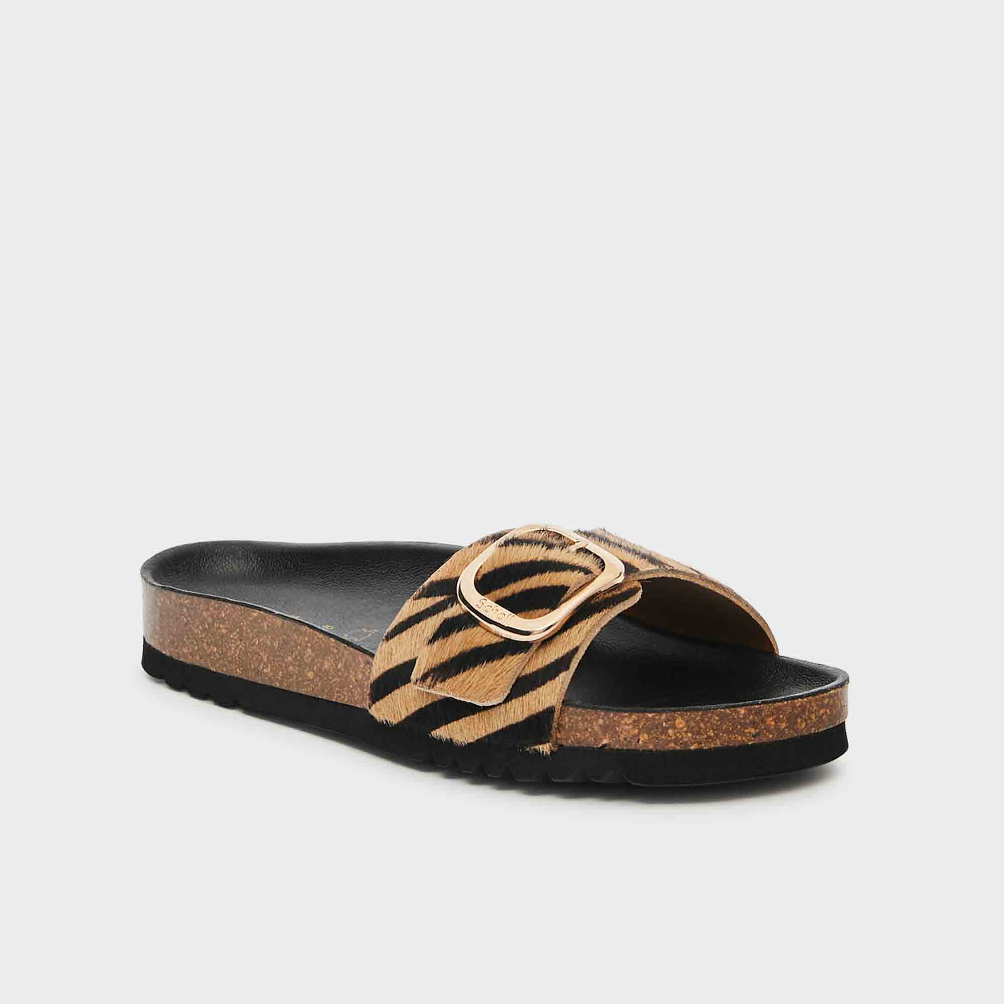 SCHOLL PESCURA