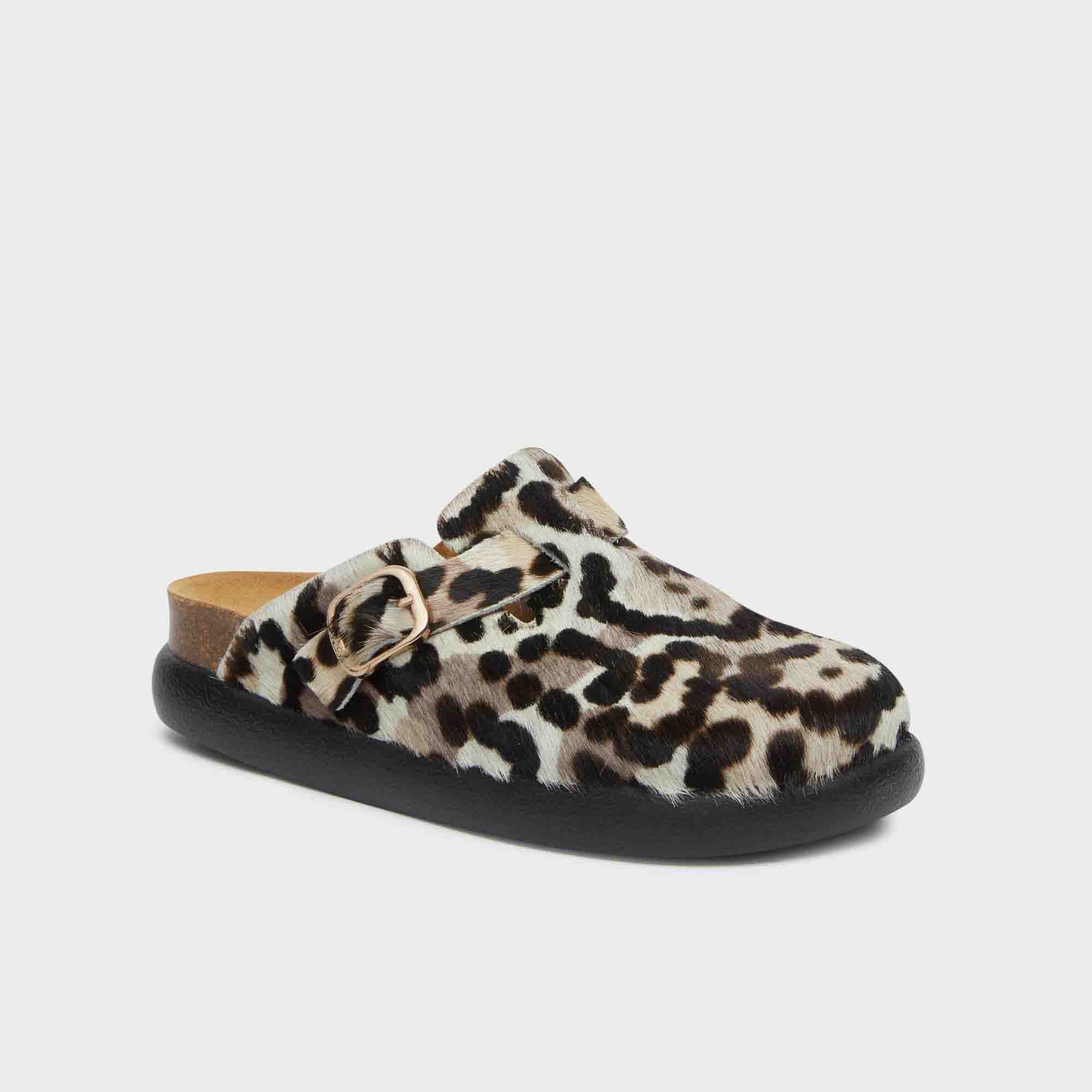 SCHOLL PESCURA