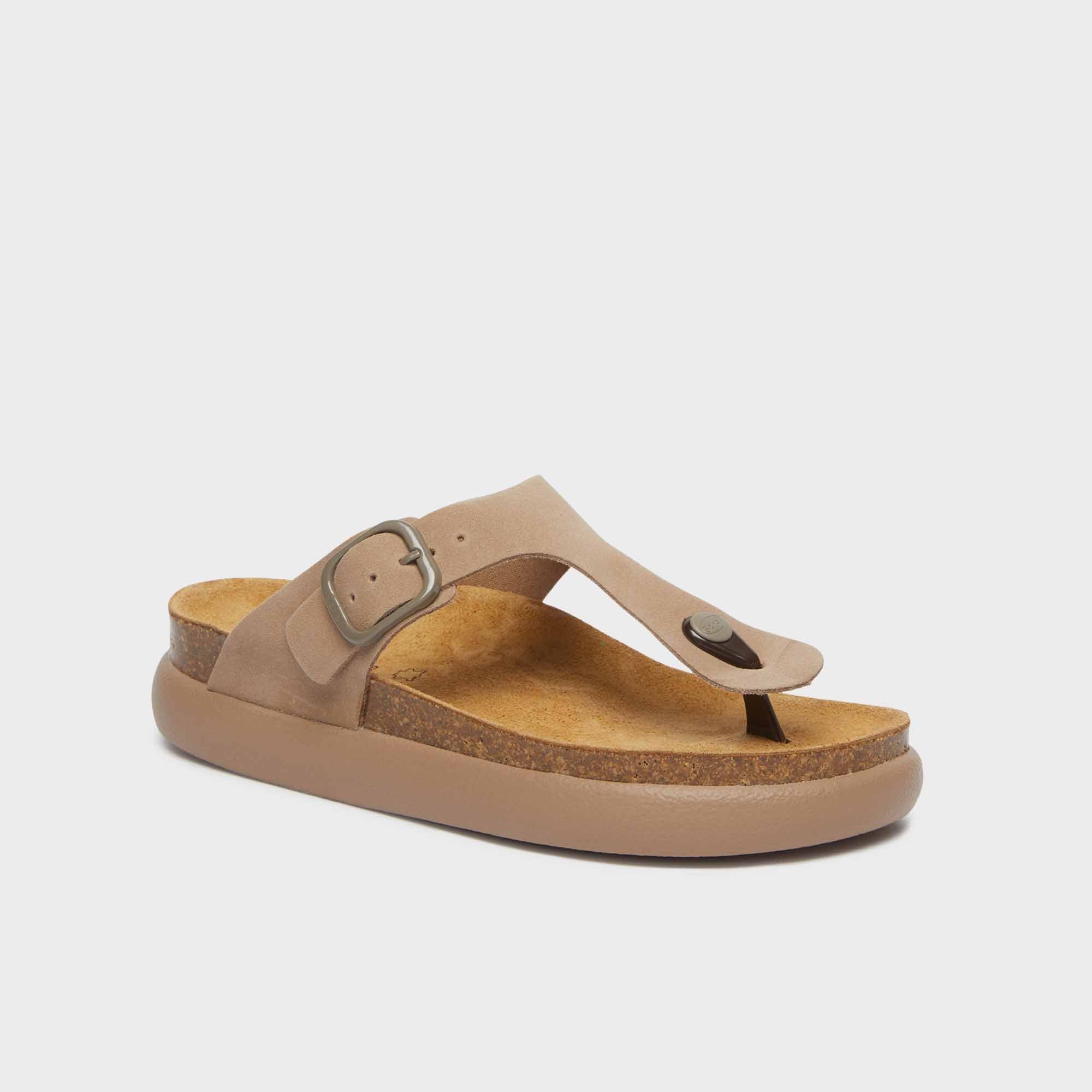 SCHOLL PESCURA