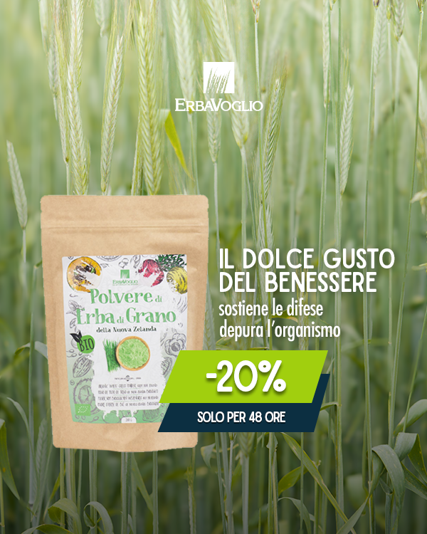 Polvere di Erba di Grano della Nuova Zelanda