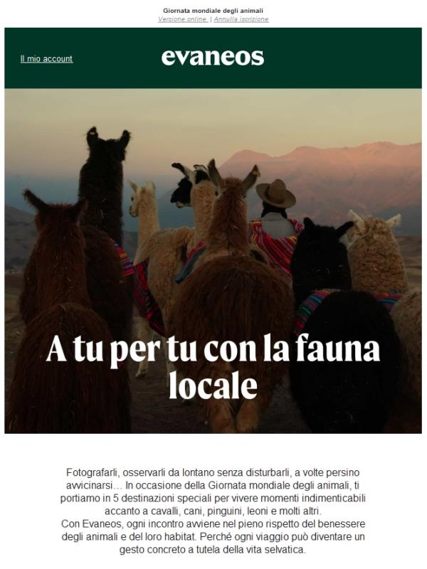 L’email più carina che riceverai oggi